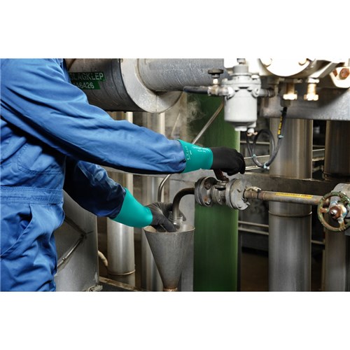 Ansell AlphaTec 58-270 Chemical Resistant Gloves
